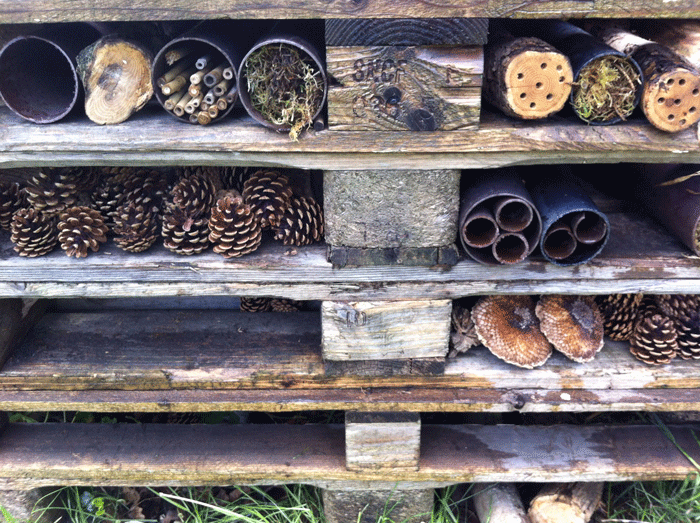 Bug hotels from site-found materials