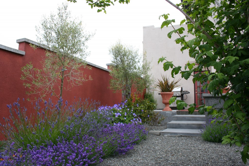 Clashing walls and flowers separated with green